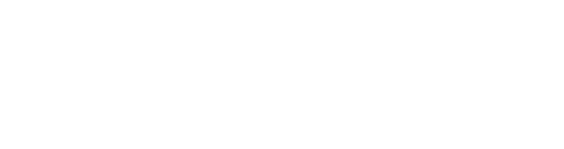 63336daf67a9b810362ba34a_finnita web logo2